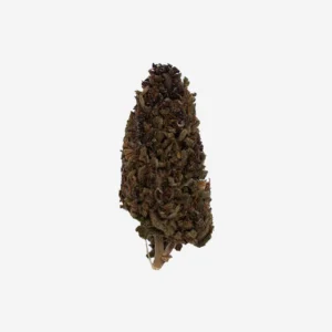 Fleur CBD Pink Shark