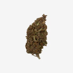 Fleur CBD Blueberry Muffin